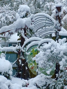 Felder Front Garden in Snow