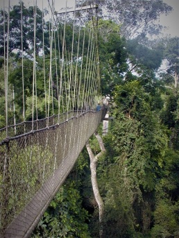 Suspension Bridge above Gorge