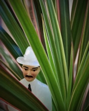 senor misterioso in tropical plant
