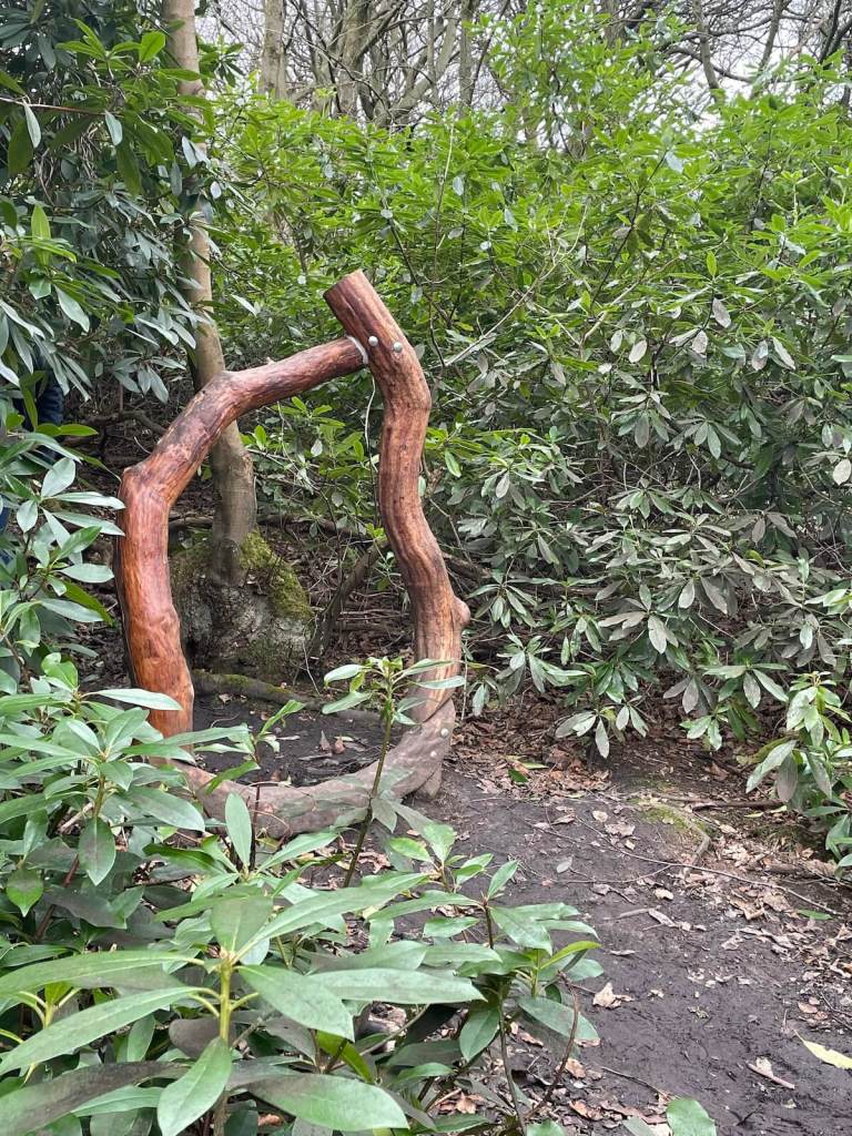 Tree limbs as woodland accessory
