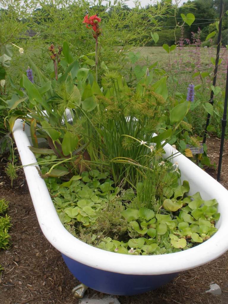 Bath filled with plants