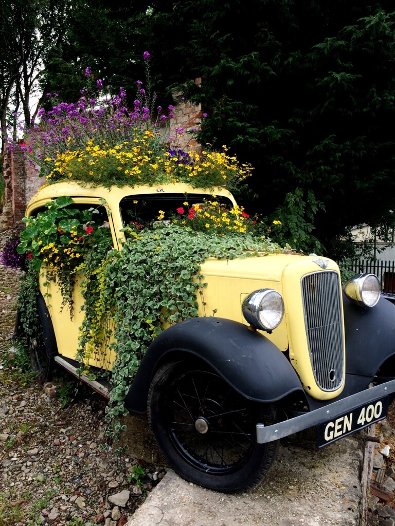Yellow car planted with annuals
