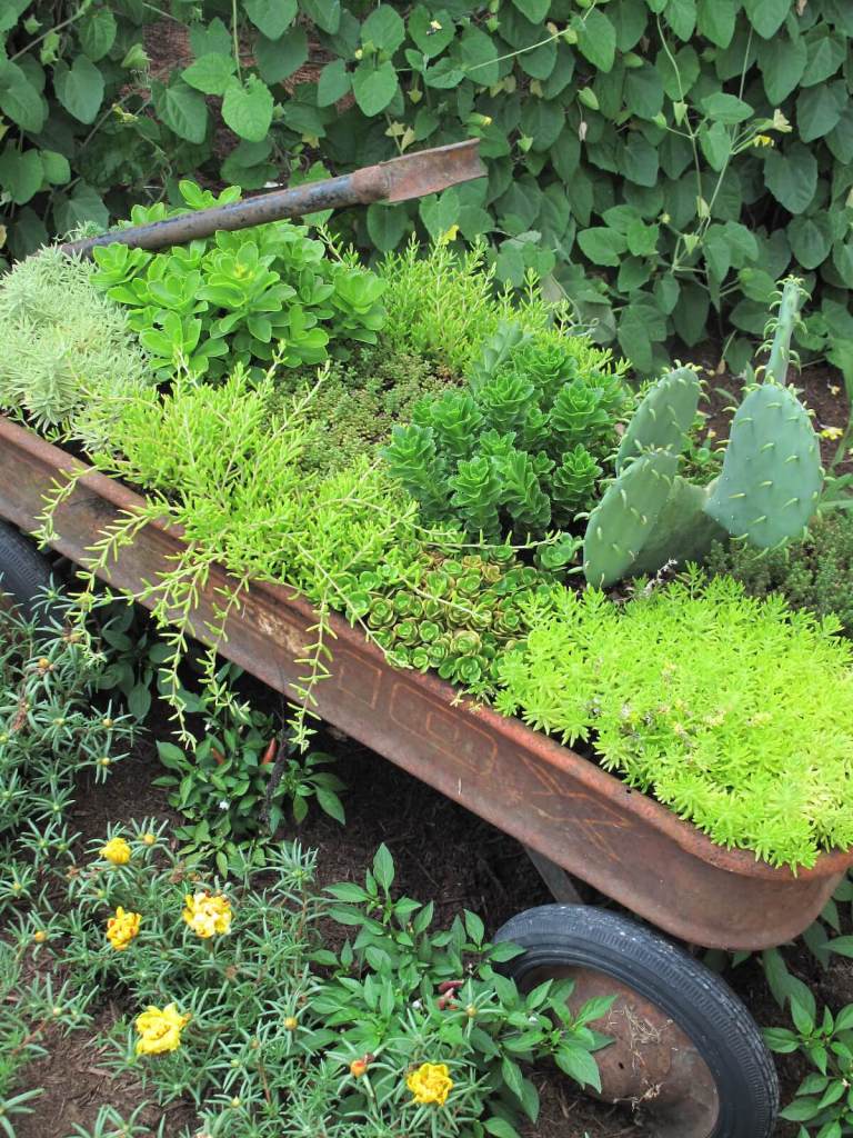 Wagon planted with succulents