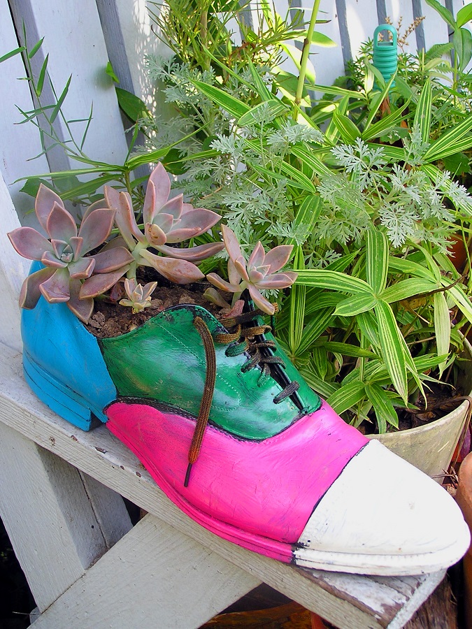 Painted shoe used as a planter for succulents