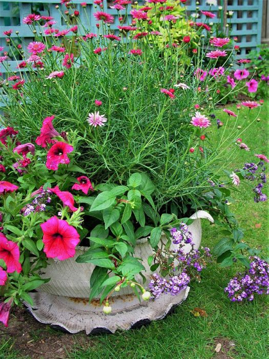 Tyre planter with flowers in England